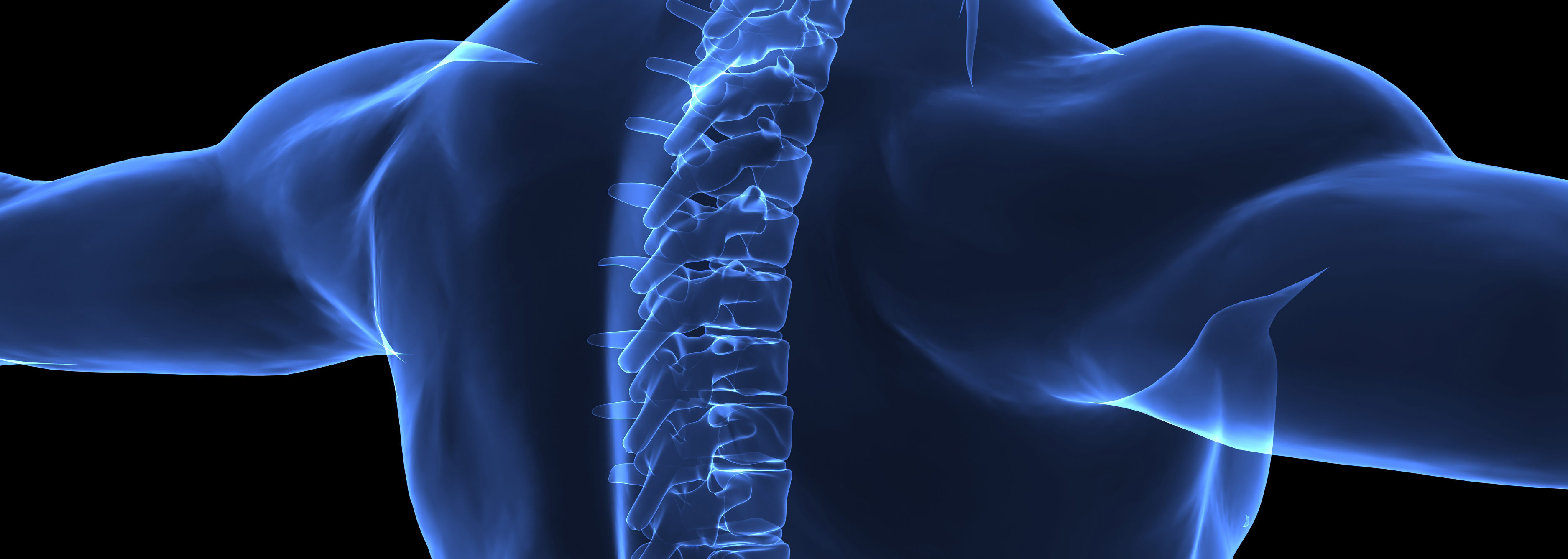 Spine Anatomy: Vertabrae Numbers Explained - Absolute Life ...